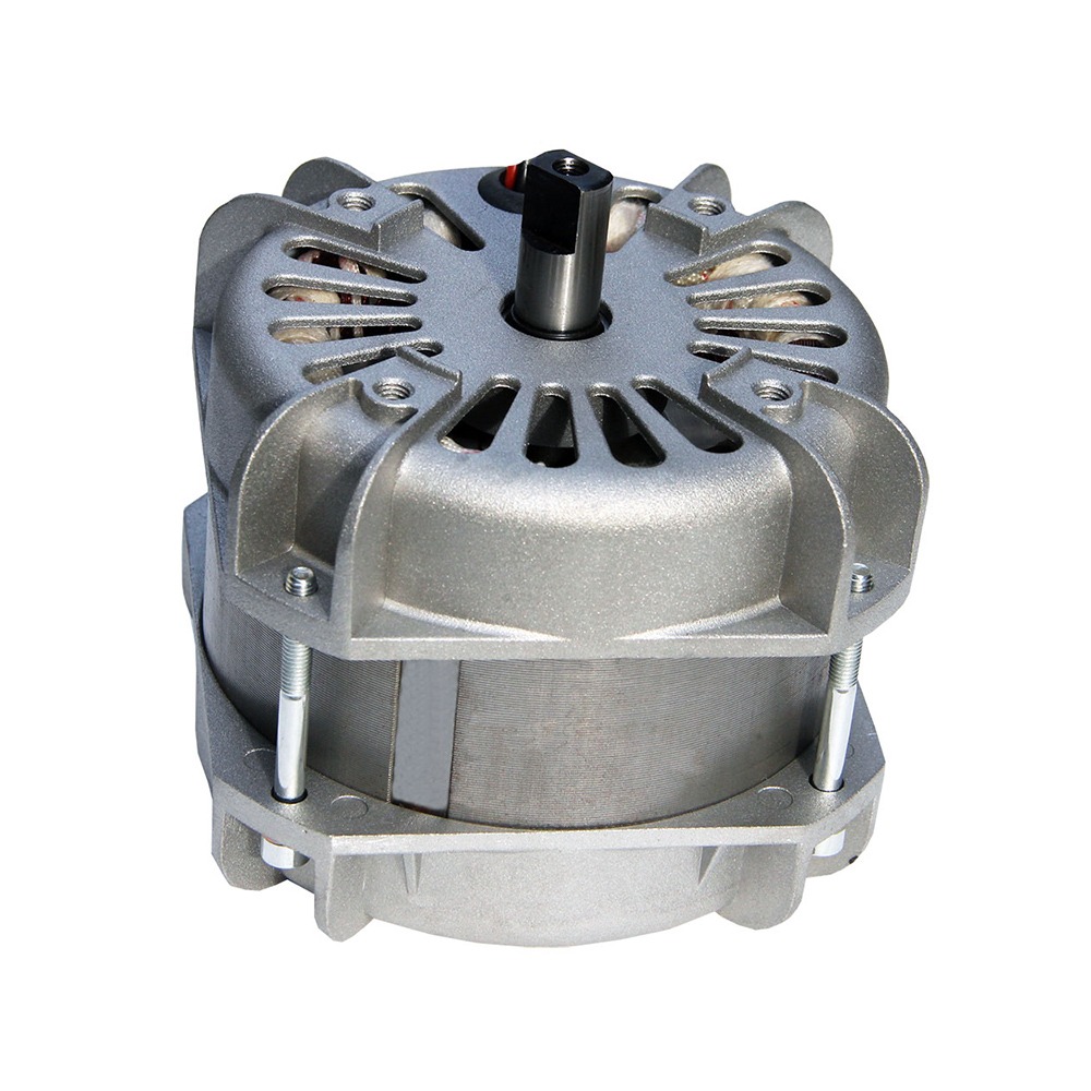 電動門專用電機(jī)